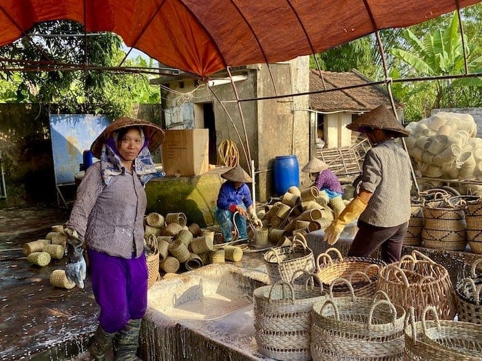 Water Hyacinth Vietnam