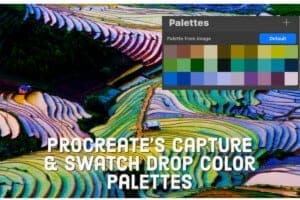 Procreate Capture and Swatch Drop Palettes