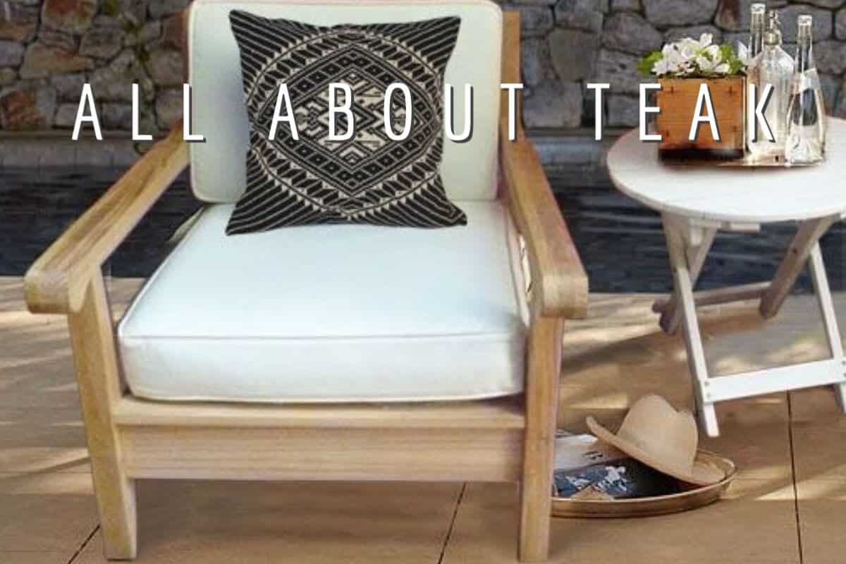Is Teak a Coniferous, Evergreen, or Deciduous Tree? 11 Teak Wood Facts