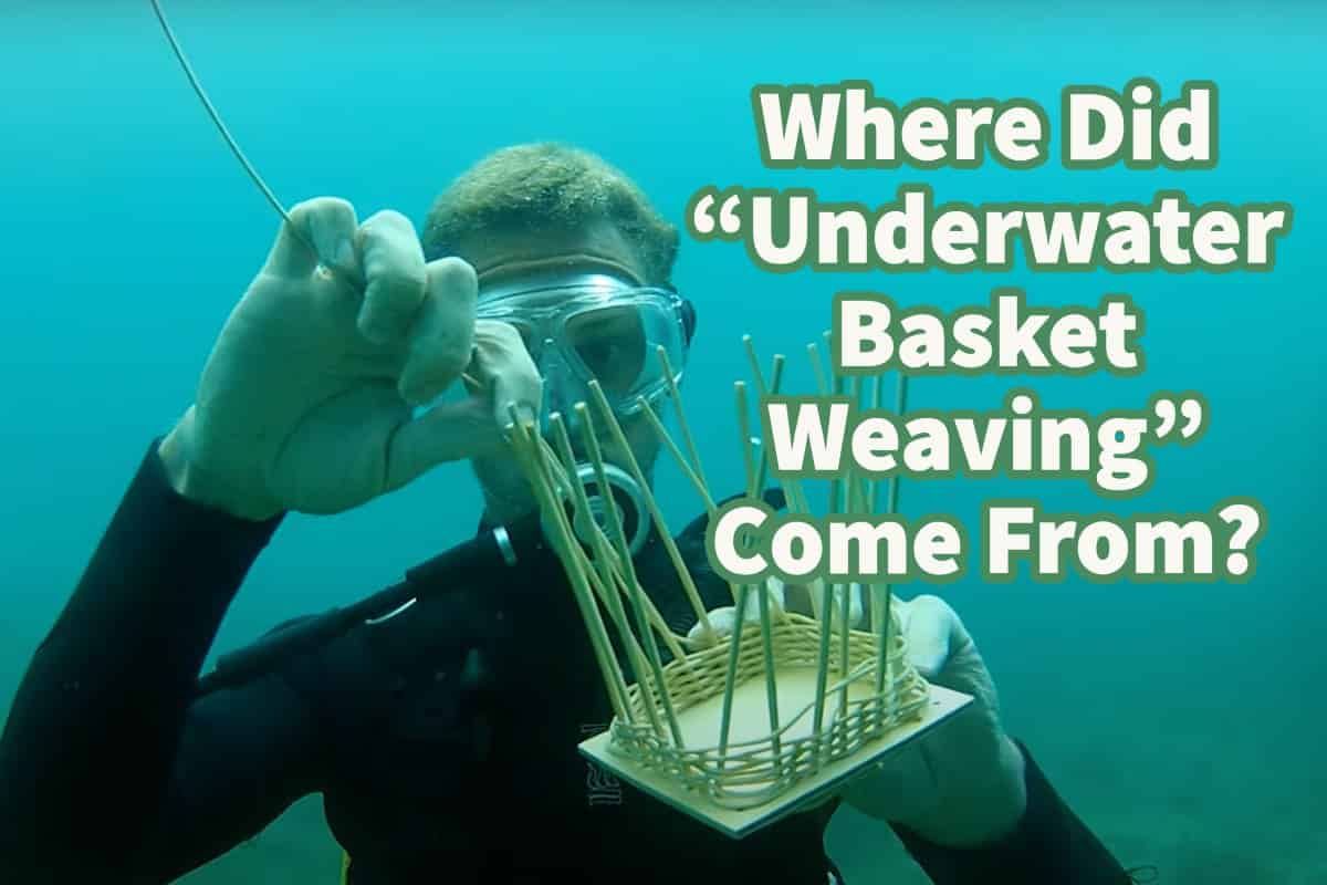 Where Did “Underwater Basket Weaving” Come From?