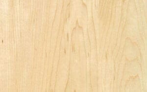 Maple Wood