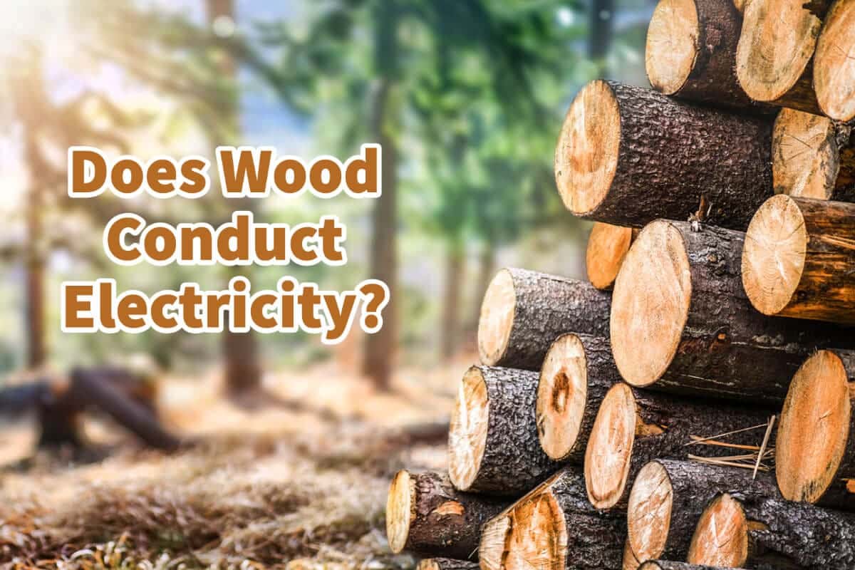 Does Wood Conduct Electricity?