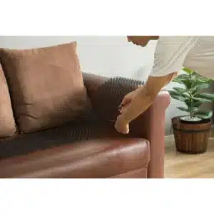 Buy Spike Mats for dogs on furniture