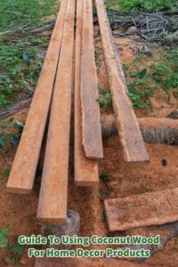 Guide To Using Coconut Wood For Home Decor Products