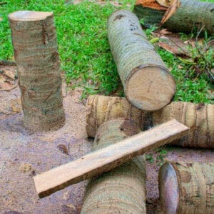 Coconut Wood Used For Furniture