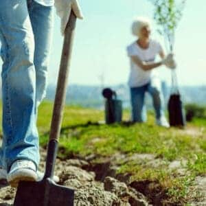 Environmental Sustainability And Being Socially Conscious