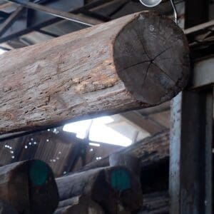Getting teak wood ready for use in furniture manufacturing.