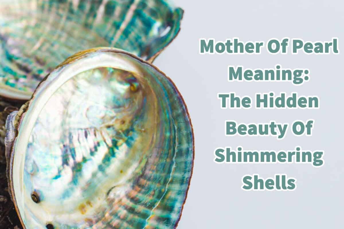 Mother Of Pearl Meaning: The Hidden Beauty Of Shimmering Shells
