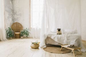 Harmony And Balance’s Importance In Minimalism