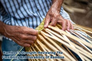 Bamboo's Strength