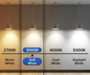 Different Color of Lightbulbs
