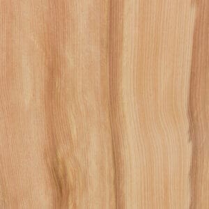 Juniper (Softwood) Sample