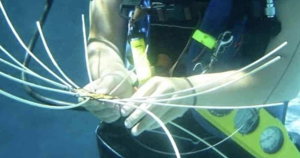 Underwater Basket Weaving