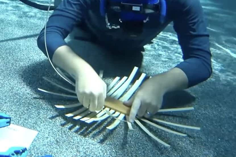 Underwater Basket Weaving