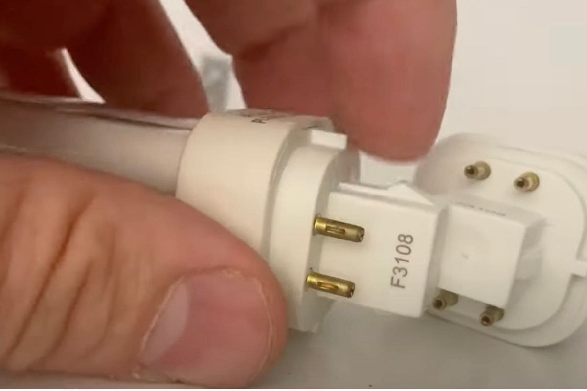 Prong Light Bulbs