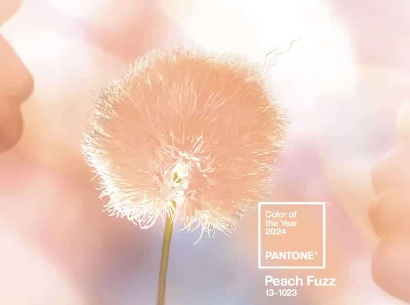 Pantone’s 2024 Color Of The Year