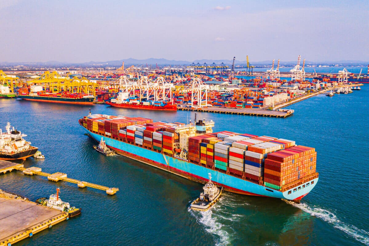 Unveiling Import vs Export Dynamics