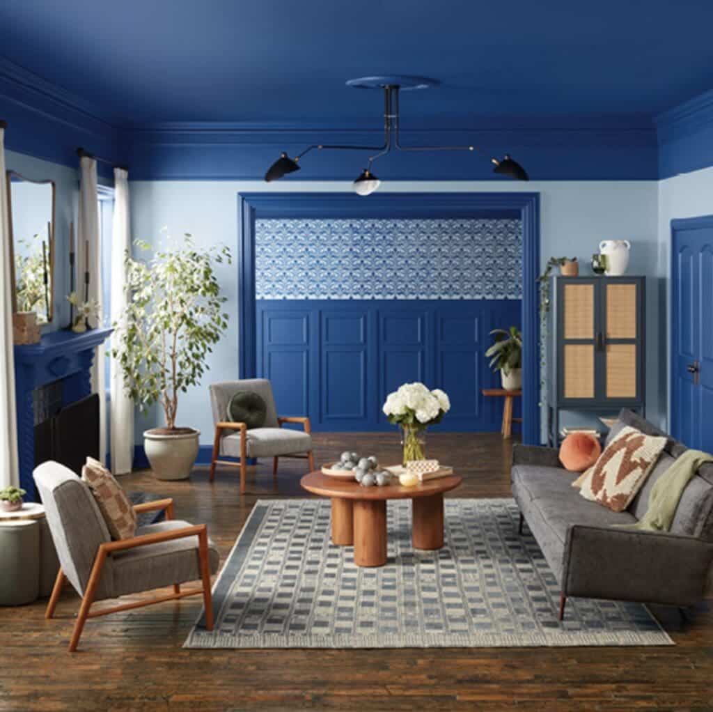 2025 Color of the Year